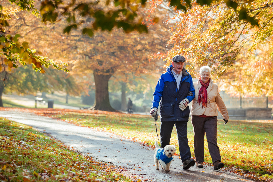 an older couple walking on the park